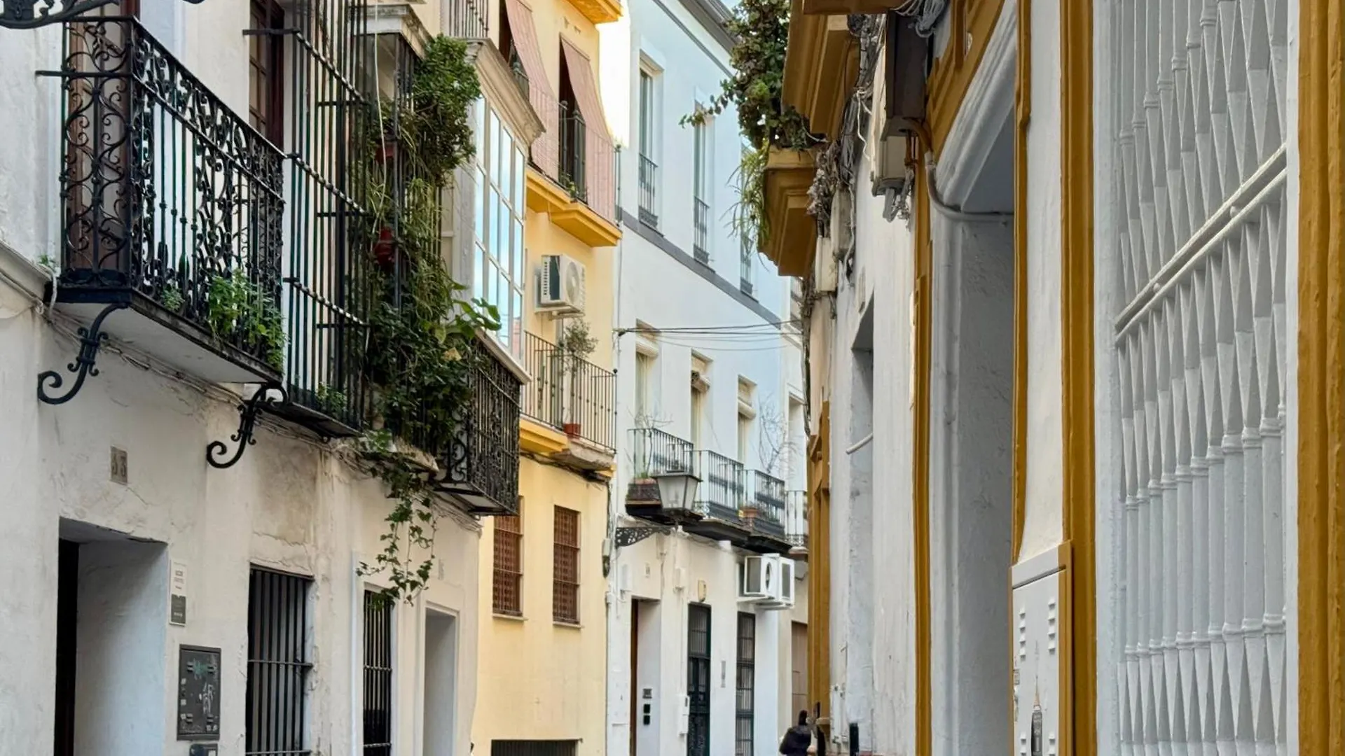 Apartment Paradise, By The Cathedral & Alcazar Seville